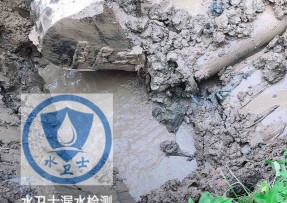 延庆水管漏水检测公司5